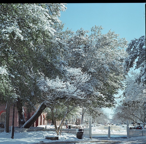 Hispanic immigrants to "el Nuevo South" - the colonial town of Williamsburg, Virginia - often feel cut off from immigrant communities in larger cities. Image by zorbatg2, Flickr. United States, 2010. Media file: pic_williamsburgVA.jpg