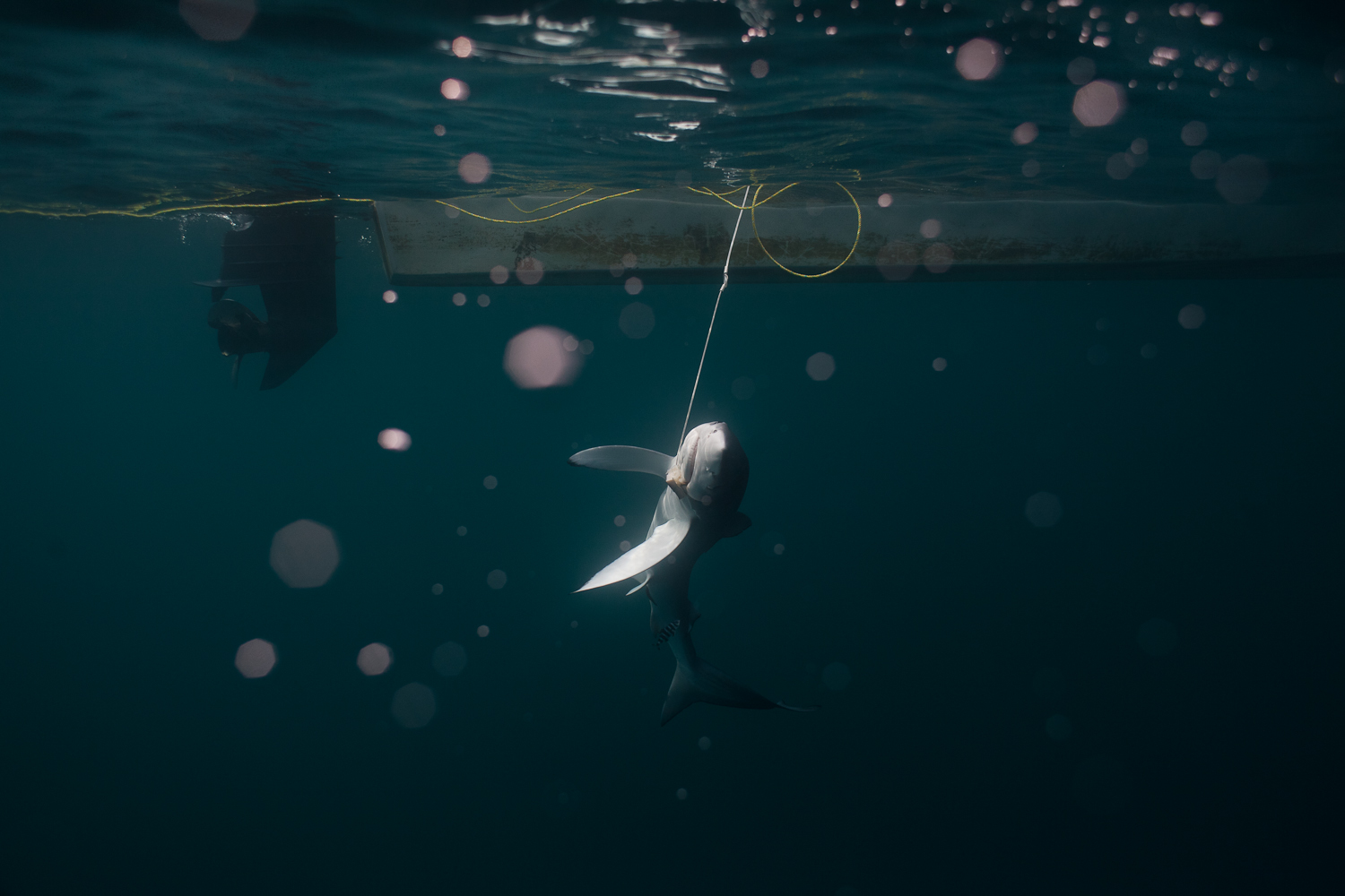 Image by Dominic Bracco II. Mexico, 2013.