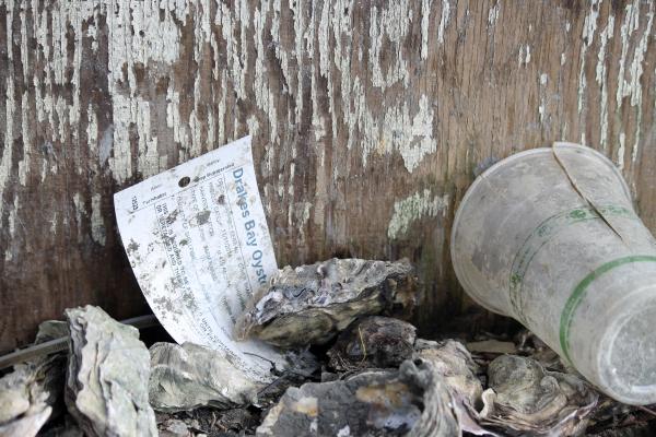 A slip of paper with information on a November 2014 batch of oysters lays on the ground, surrounded by abandoned oyster shells. Image by Rachel Merriman-Goldring. United States, 2014.