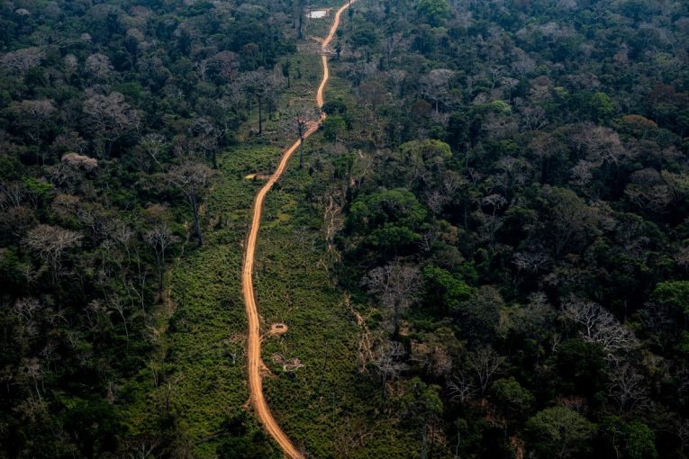 Amazon rainforest area in Acre. Deforestation points are easily identifiable by satellite imagery along the roads. Image by Marcio Pimenta. Brazil, 2019. Amazon rainforest area in Acre. Deforestation points are easily identifiable by satellite imagery along the roads. Image by Marcio Pimenta. Brazil, 2019.