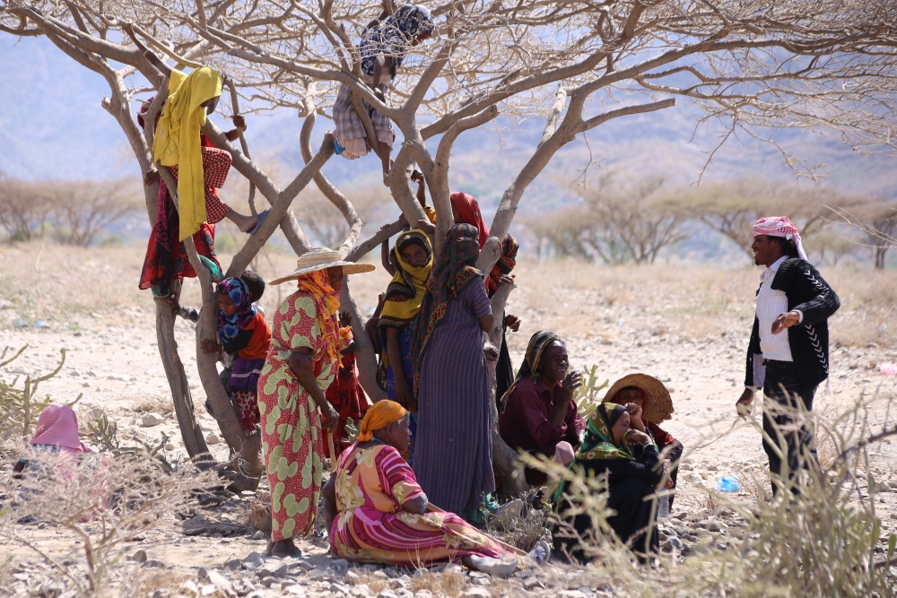 Displaced women and children gather under trees at al-Dashin's camp in Taiz. Image by Ahmed al-Basha/IRIN. Yemen, 2016. Displaced women and children gather under trees at al-Dashin's camp in Taiz. Image by Ahmed al-Basha/IRIN. Yemen, 2016.