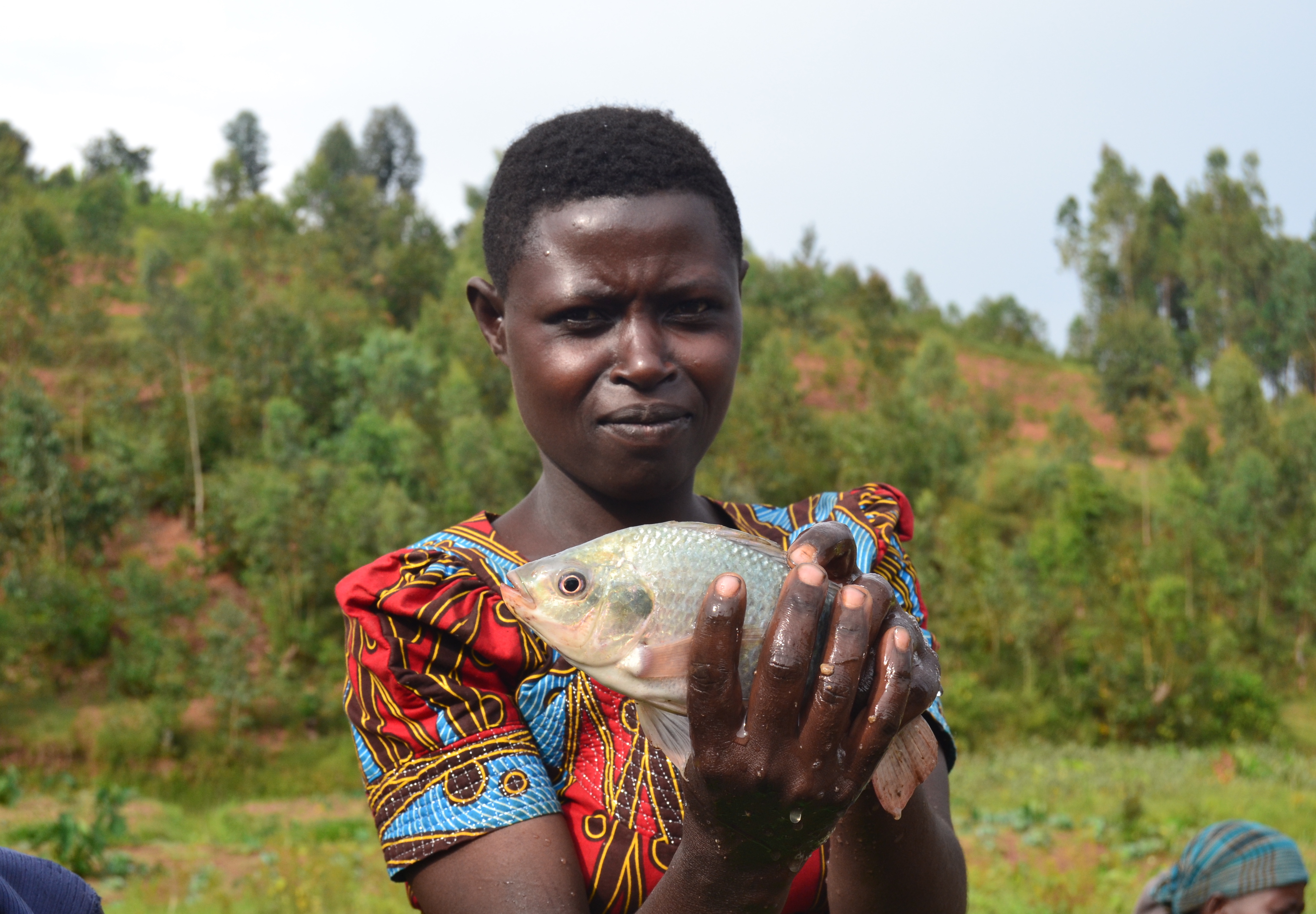 A young member of the Amahoro fish farming cooperative holds up one of the several fish the women catch each day. Image by Camille Behnke. Rwanda, 2019. A young member of the Amahoro fish farming cooperative holds up one of the several fish the women catch each day. Image by Camille Behnke. Rwanda, 2019.