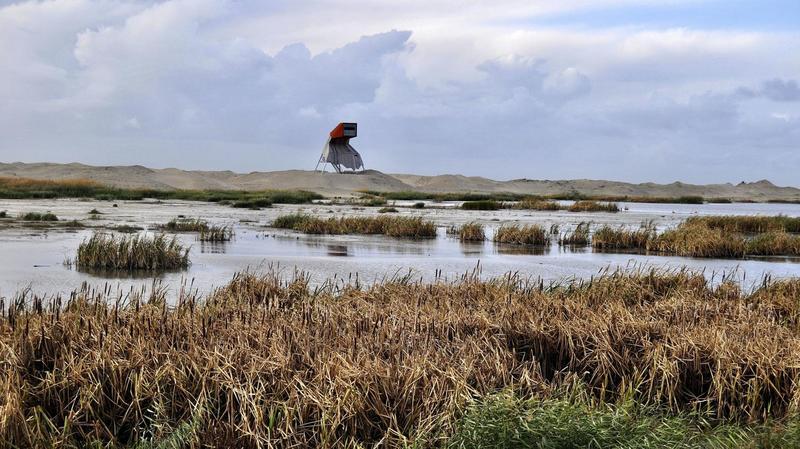 A wildlife-watching tower stands over a newly-built island in a lake near Amsterdam. The island is part of an ambitious restoration effort aimed at minimizing ecological damage caused by a nearby dam. Image by Tristan Baurick / Times-Picayune | The Advocate. The Netherlands, 2020. A wildlife-watching tower stands over a newly-built island in a lake near Amsterdam. The island is part of an ambitious restoration effort aimed at minimizing ecological damage caused by a nearby dam. Image by Tristan Baurick / Times-Picayune | The Advocate. The Netherlands, 2020.