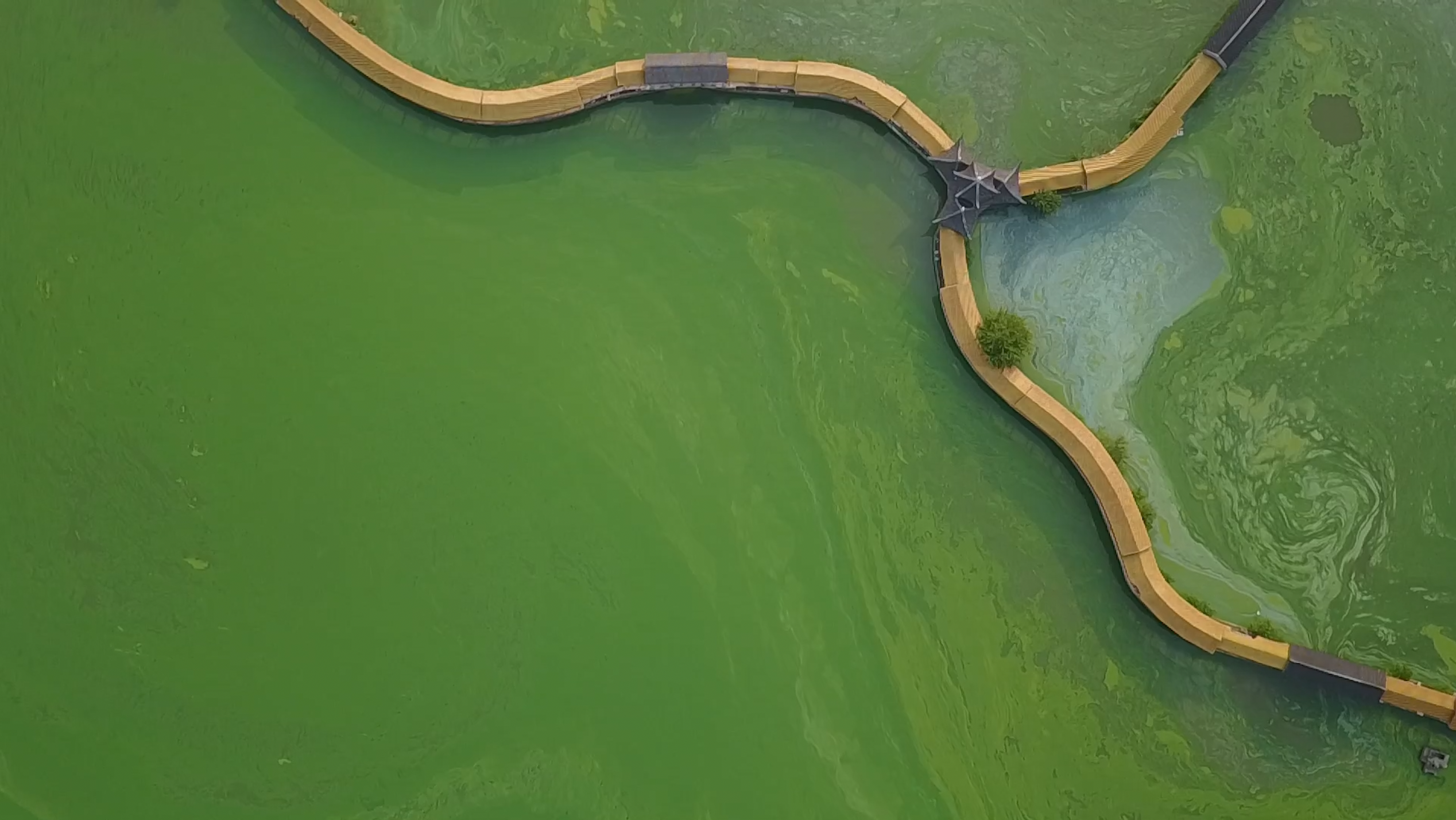 Still from the short film 'Losing Earth: From the Air.' Image by George Steinmetz. China, 2018. Still from the short film 'Losing Earth: From the Air.' Image by George Steinmetz. China, 2018.
