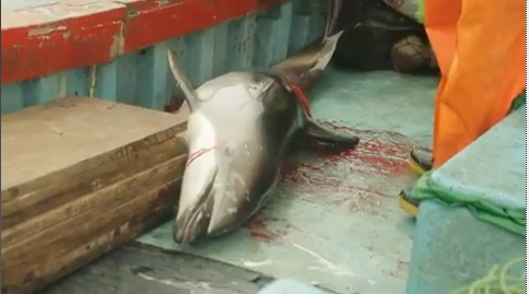 Media file: screen_shot_2014-04-03_at_2.20.55_pm.png
