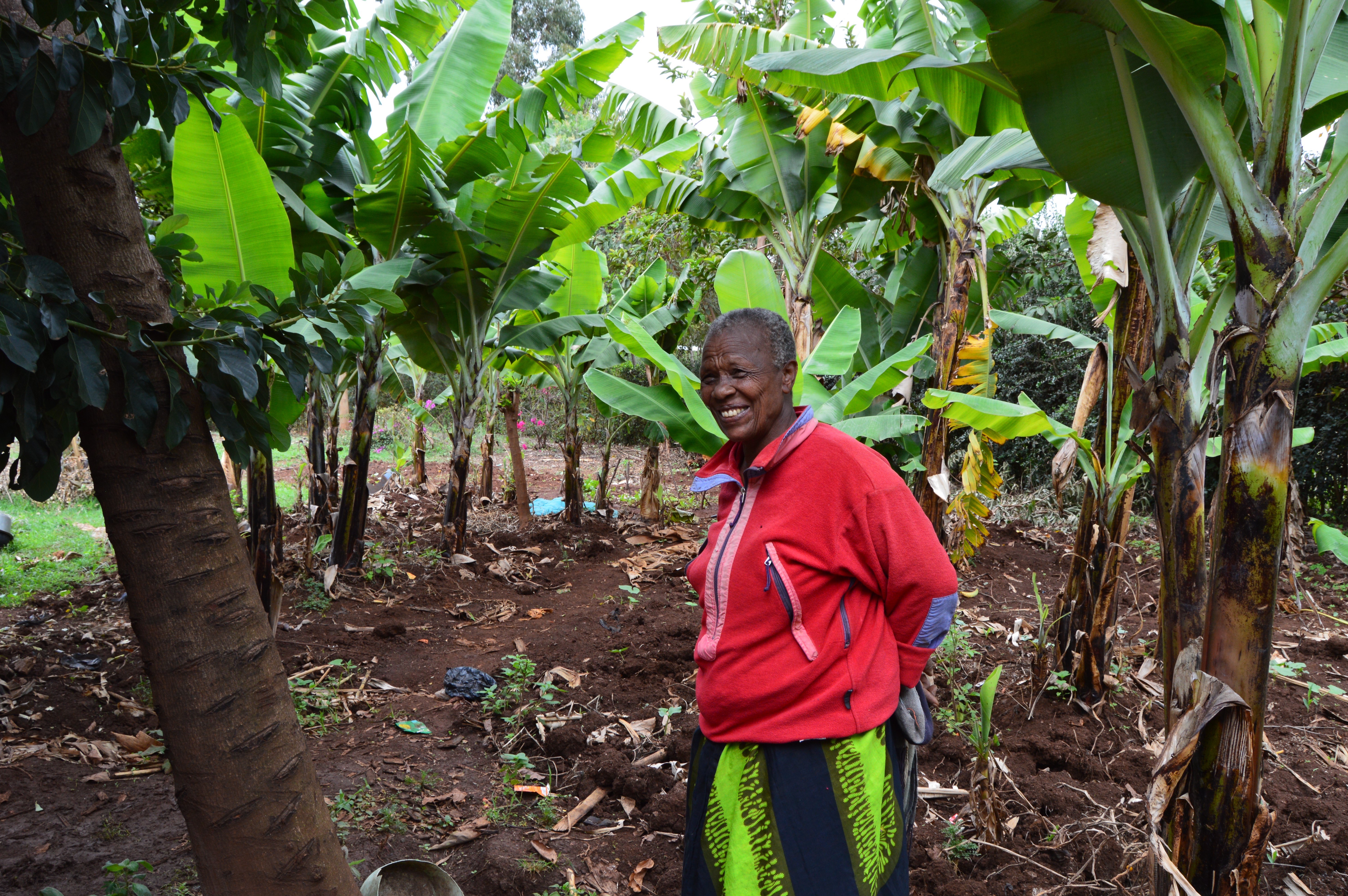 Elizabeth Yoram stands with her banana trees. She estimates that she made an extra 100,000 TSH (approximately $45 USD) from selling bananas in 2015. Image by Amanda Williams. Tanzania, 2016. Media file: tanzania_burning_wood1.jpg