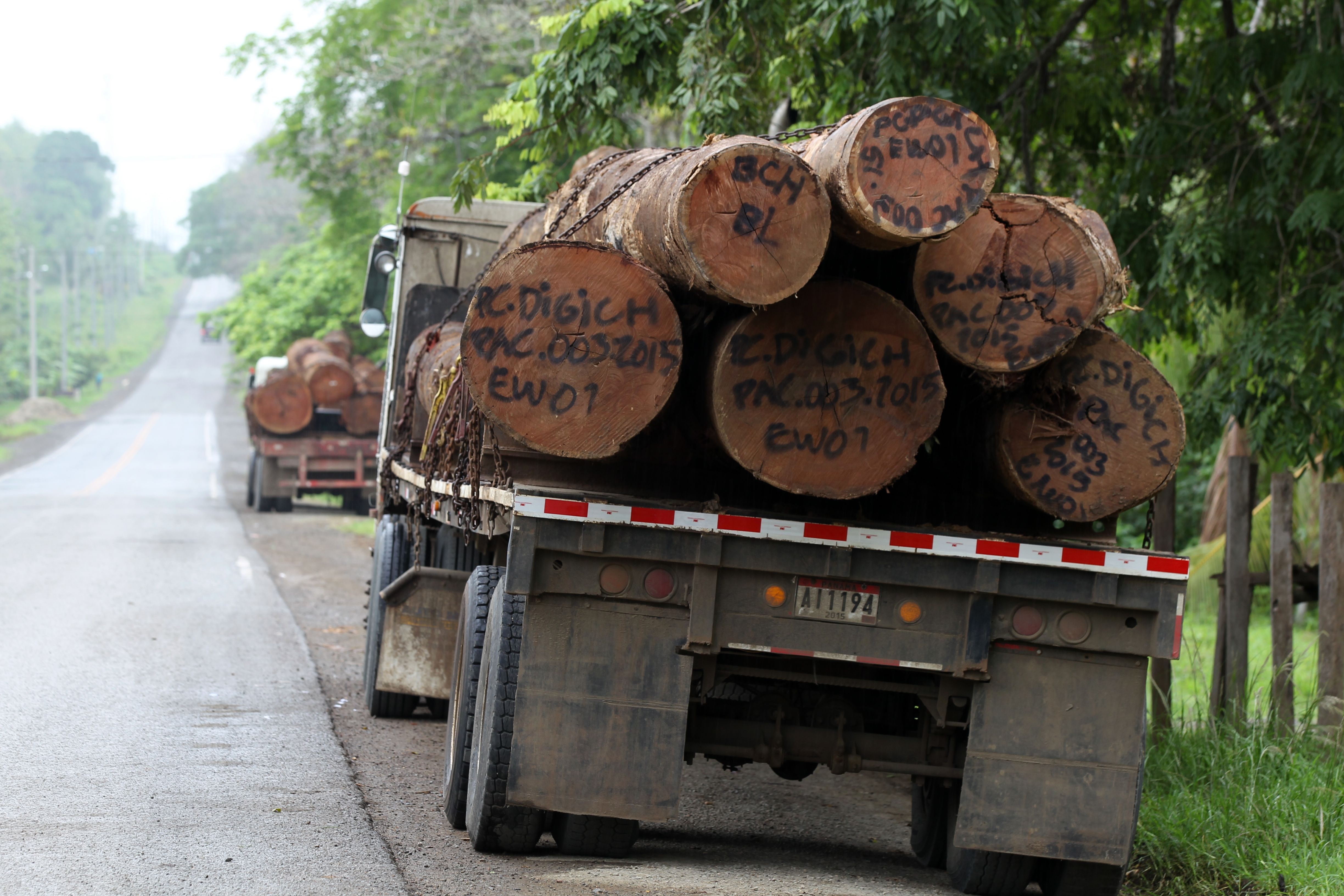 Deforestation in the Darién gap affects indigenous people. Image by Guido Bilbao. Panama, 2019. Deforestation in the Darién gap affects indigenous people. Image by Guido Bilbao. Panama, 2019.