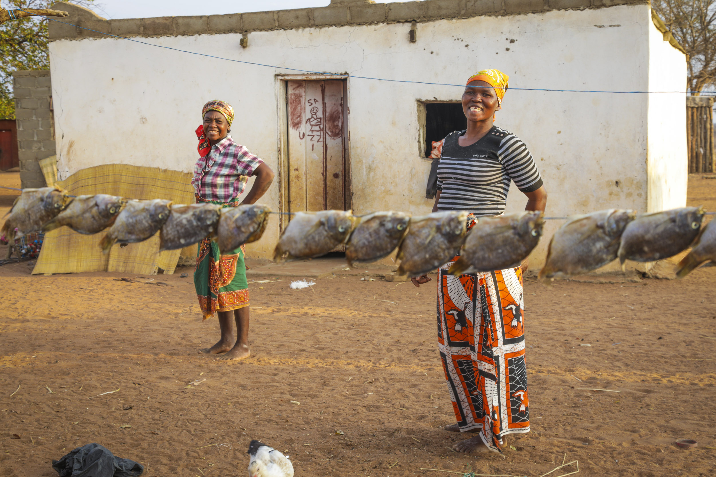Women of the Mavoze community living inside the Limpopo National Park. Five communities await removal from the park. Image from AfricanDrone/Oxpeckers. Mozambique, 2018. Women of the Mavoze community living inside the Limpopo National Park. Five communities await removal from the park. Image from AfricanDrone/Oxpeckers. Mozambique, 2018.