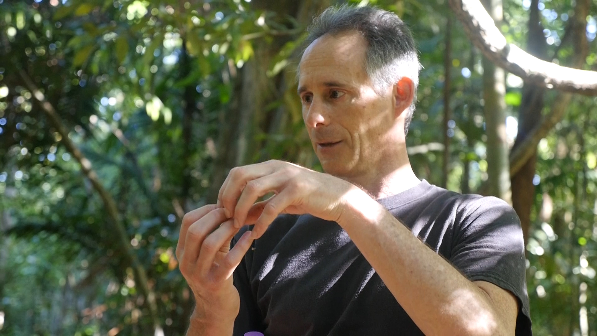 Stefan Schnitzer Stefan Schnitzer, a professor at Marquette University, at his research site in Panama. has discovered that vine-free jungle stores much more carbon than normal rainforest. Image by Dan Grossman. Panama, 2017.