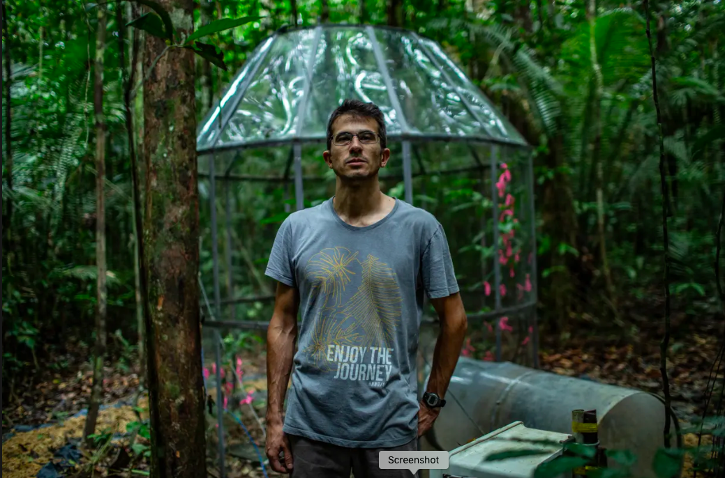 Increased CO2 in the air could save the Amazon rainforest from destruction. Or it may do little to keep the Amazon safe. Biologist David Lapola hopes to find out. Image by Dado Galdieri. Brazil, 2019. Increased CO2 in the air could save the Amazon rainforest from destruction. Or it may do little to keep the Amazon safe. Biologist David Lapola hopes to find out. Image by Dado Galdieri. Brazil, 2019.