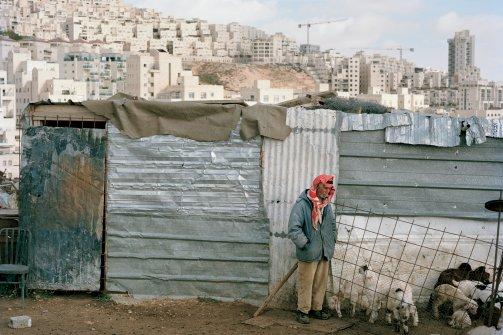 Said Zawahari , 74. Palestinian shepherd outside his home and small farm, overshadowed by the vast Jewish settlement of Har Homa, in the Palestinian West Bank. Image by Zed Nelson. West Bank, 2013. Media file: 1365752263700.cached.jpg