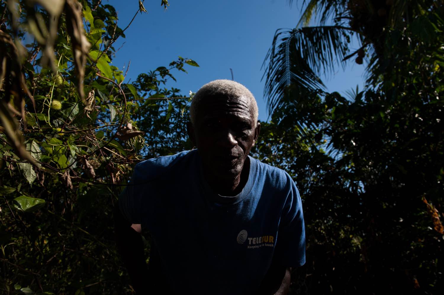 Nelson Adose Martines, 59, emerges from harvesting a cassava root by his family's shacks off of Suriname's Afobaka Road. Martines is part of the generations of Saamaka who still feel the effects of a 1964 government resettlement that moved thousands of residents from villages inundated by Alcoa's Brokopondo Reservoir. "We live off farming, farming is how we eat, how we live," said Martines. "But because a lot of villages relocated, we had to share these resources with more people." Image by Stephanie Strasburg. Suriname, 2017. Nelson Adose Martines, 59, emerges from harvesting a cassava root by his family's shacks off of Suriname's Afobaka Road. Martines is part of the generations of Saamaka who still feel the effects of a 1964 government resettlement that moved thousands of residents from villages inundated by Alcoa's Brokopondo Reservoir. "We live off farming, farming is how we eat, how we live," said Martines. "But because a lot of villages relocated, we had to share these resources with more people." Image by Stephanie…