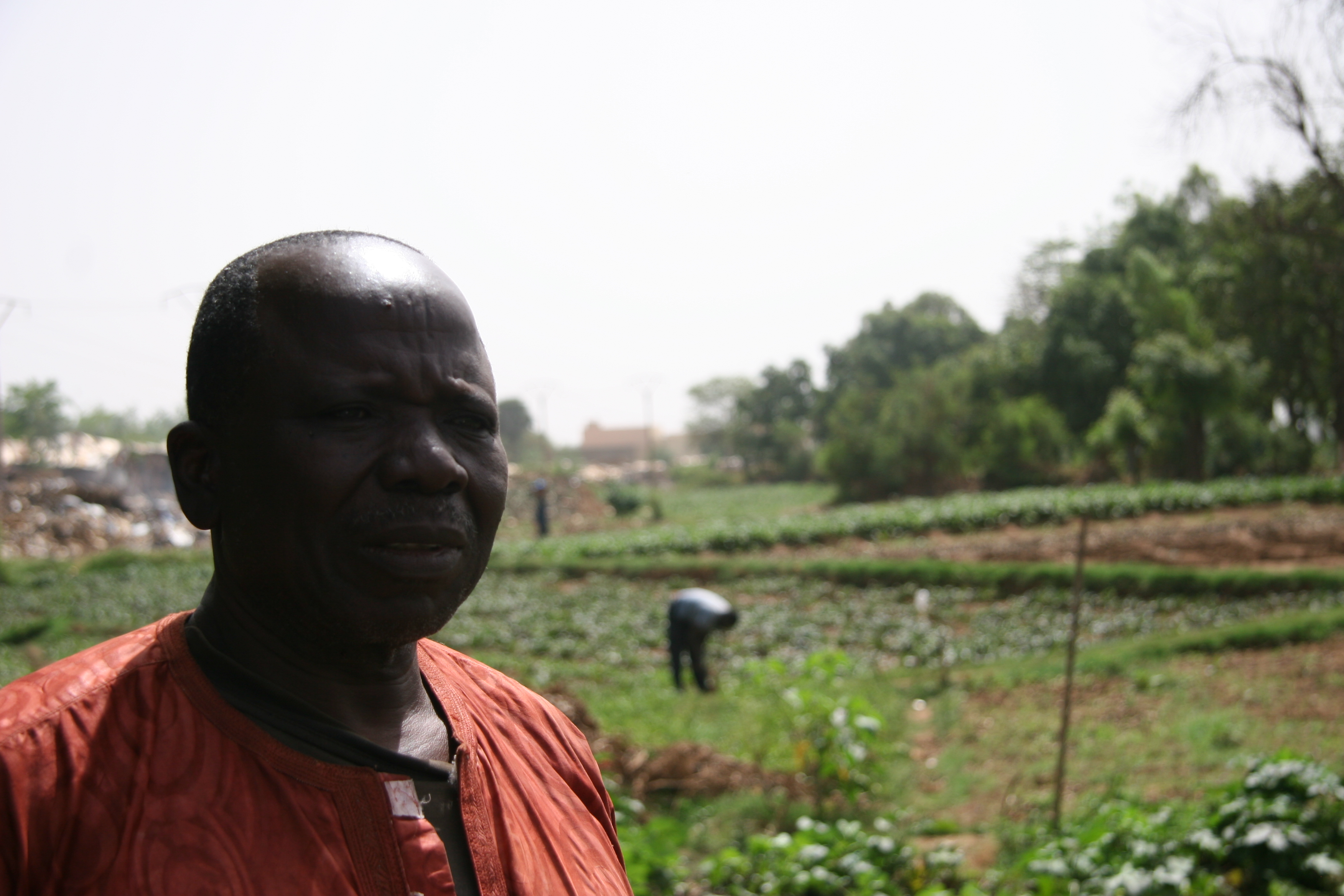 Farmer Bakary Diarra believes urban vegetable gardens could be expanded to help feed hungry Malians. Image by Chris Arsenault. Mali, 2015.