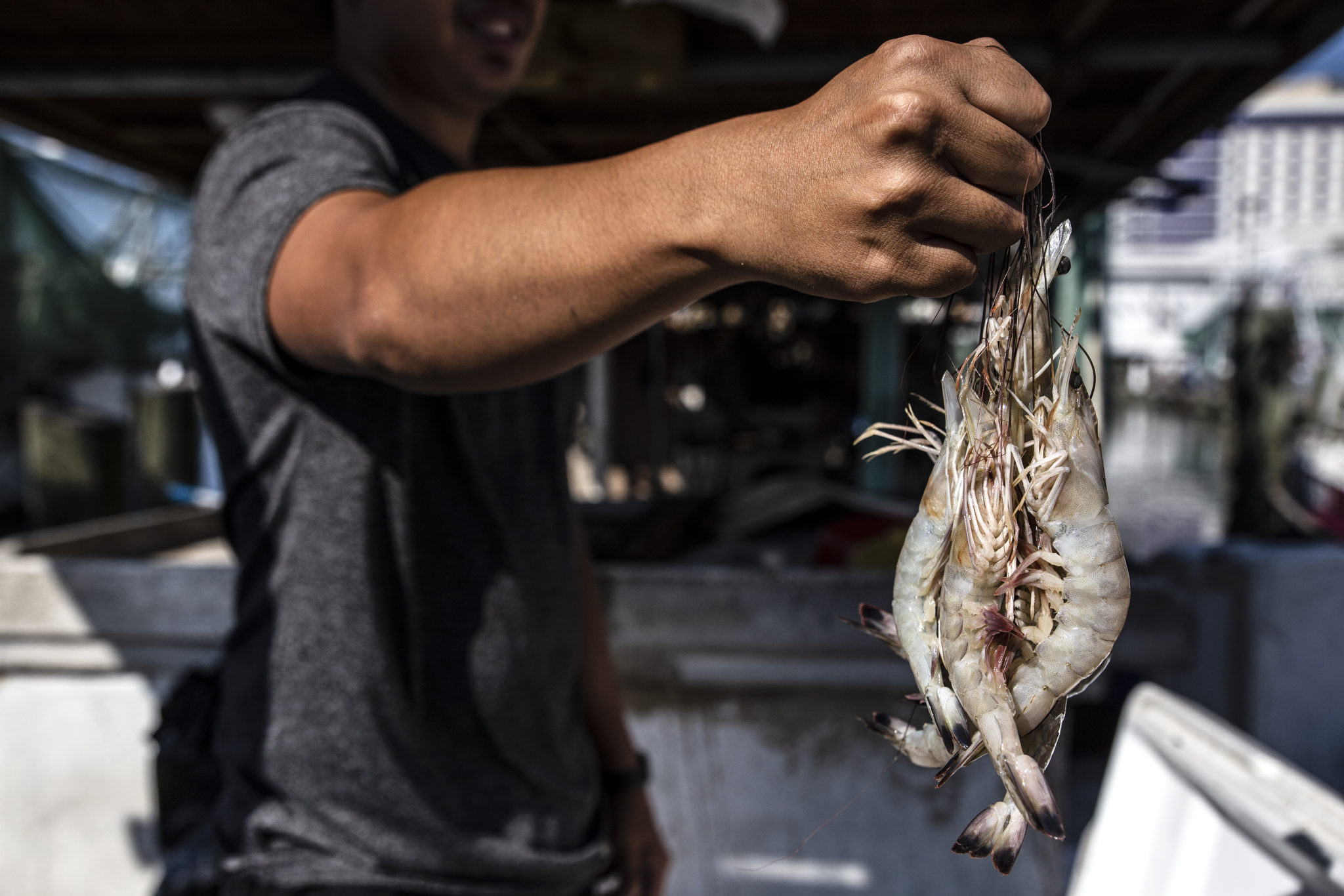 Shrimper Mike Nguyen in Biloxi. Image by Eric J. Shelton for Mississippi Today. United States, 2019. Shrimper Mike Nguyen in Biloxi. Image by Eric J. Shelton for Mississippi Today. United States, 2019.