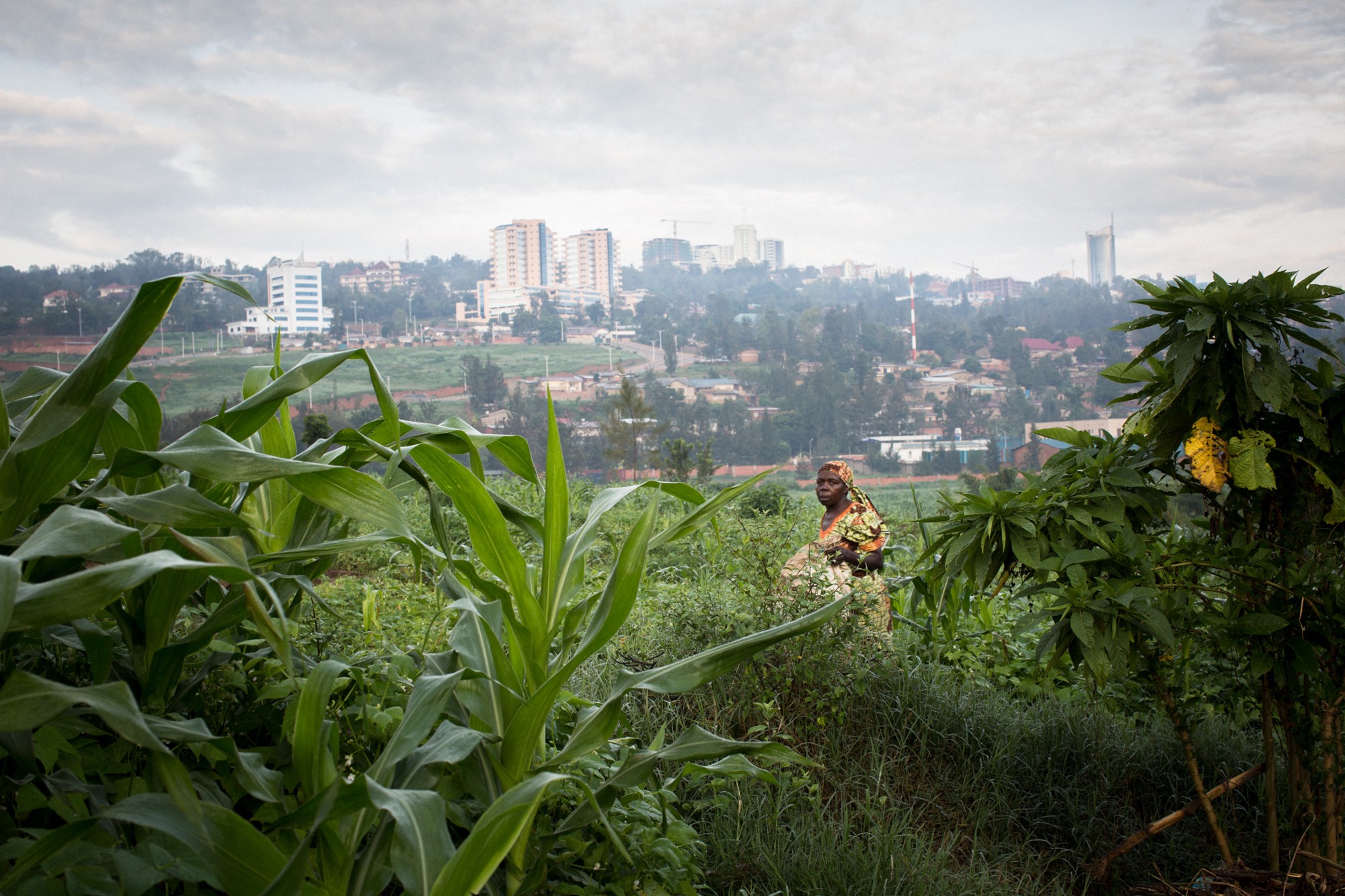 In a still largely rural country, the capital Kigali is at the center of Rwanda’s push to build a knowledge-based economy. Image by Juan Herrero. Rwanda, 2015. Media file: 5.jpg