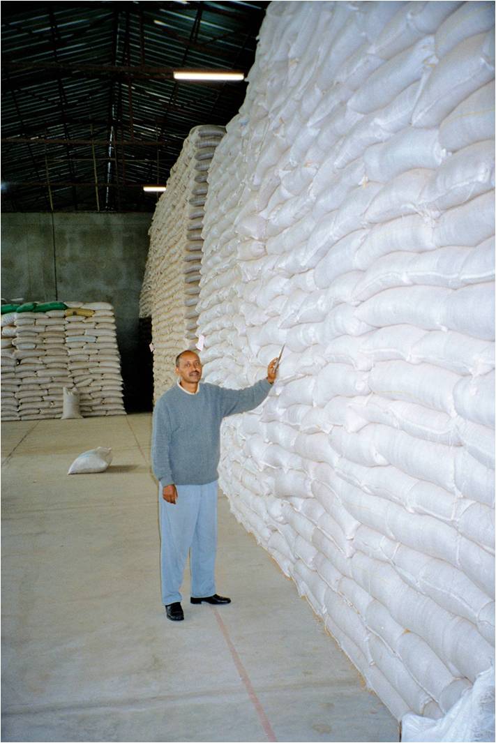 Ethiopian-grown grain accumulates in a warehouse in 2003 while food aid rushed into the country. The markets failed before the weather did. Image by Roger Thurow. Ethiopia, 2003. Media file: ethiopiawarehouse.jpg
