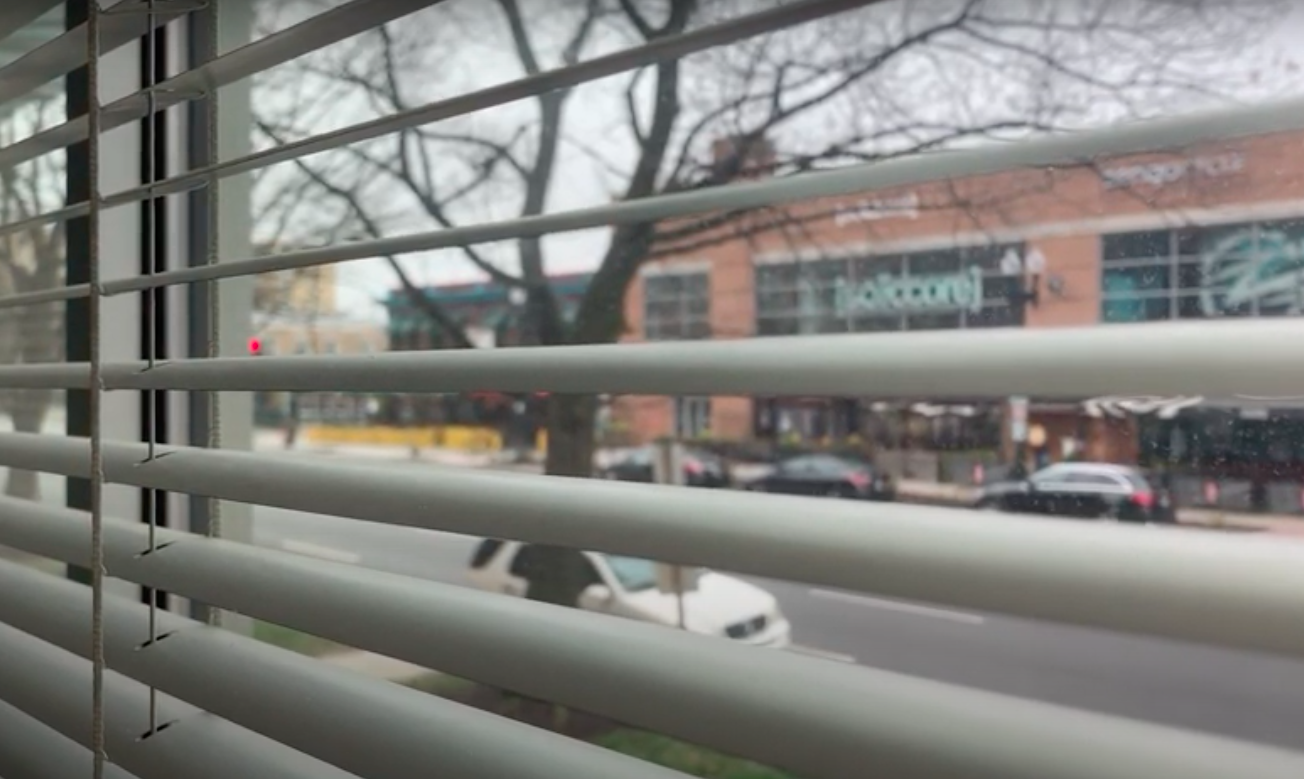 A view from quarantine. Image by Virginia Garino. United States, 2020. A view from quarantine. Image by Virginia Garino. United States, 2020.
