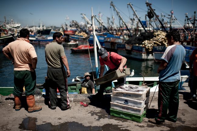 Crewmen stacking boxes of fish in San Vicente, Talcahuano, in the Bio Bio Region of Chile. Image by © Fernando Rodriguez. Chile, 2013. Media file: 20130520-fishing-chile07.jpg