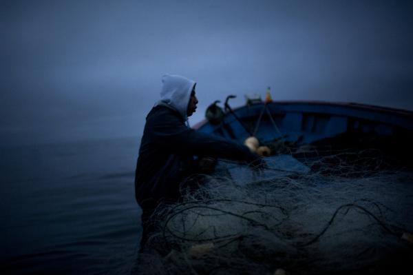 Debates over fisheries law has caused strife among fishermen in Chile. Image by © Fernando Rodriguez. Chile, 2013. Media file: fish_crisis_05.jpg
