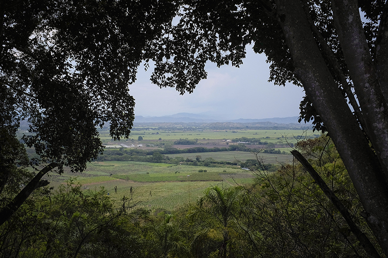 Colombia has greater biodiversity than any country except Brazil. Image by Greg Kendall-Ball/Nature. Colombia, 2018. Colombia has greater biodiversity than any country except Brazil. Image by Greg Kendall-Ball/Nature. Colombia, 2018.