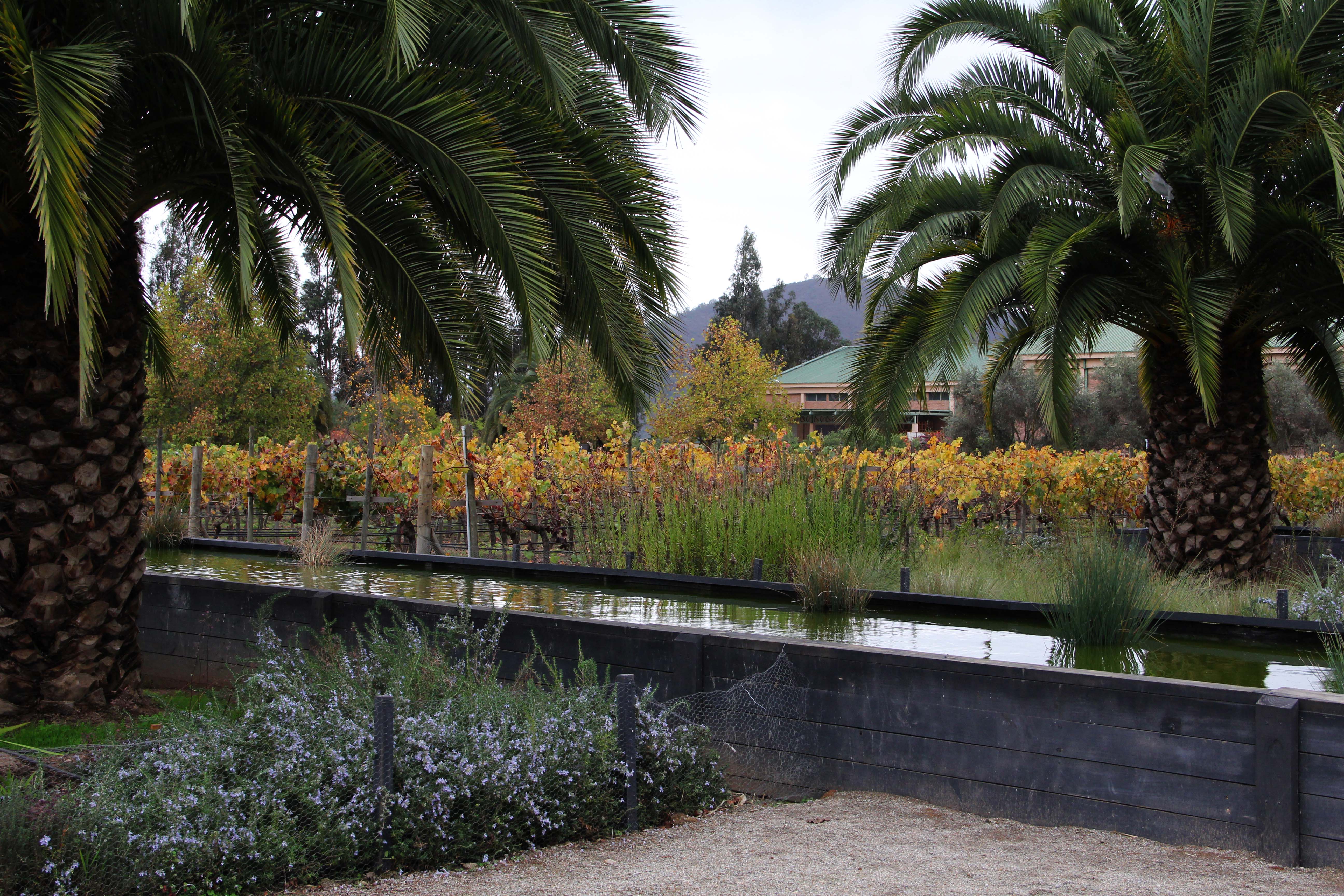 Veramonte Vineyards. Image by Taylor Lord. Chile, 2017. Veramonte Vineyards. Image by Taylor Lord. Chile, 2017.