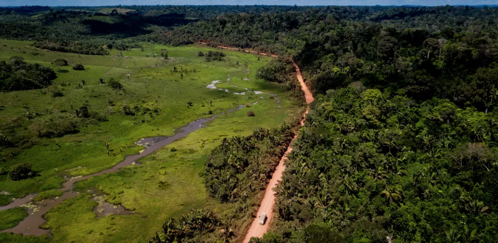 A truck motors along the Trans-Amazonian Highway, straddling protected Indigenous land at right and unprotected land that has been clear-cut at left, in Pará State, Brazil. Image by Spenser Heaps. Brazil, 2019. A truck motors along the Trans-Amazonian Highway, straddling protected Indigenous land at right and unprotected land that has been clear-cut at left, in Pará State, Brazil. Image by Spenser Heaps. Brazil, 2019.