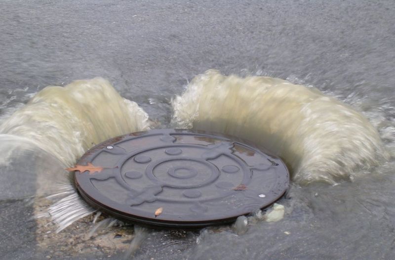 Closeup of a sanitary sewer overflow. Image by Lawrence Cahoon / UNCW. United States, undated. Closeup of a sanitary sewer overflow. Image by Lawrence Cahoon / UNCW. United States, undated.