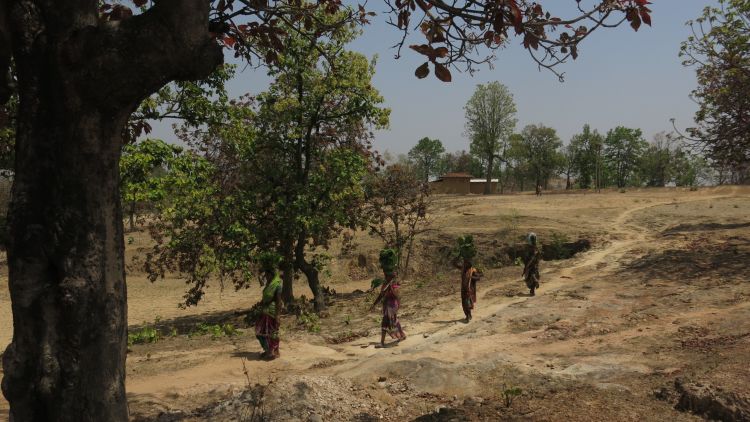 Odisha, India. June 2019. Image by Chitrangada Choudhury. Odisha, India. June 2019. Image by Chitrangada Choudhury.