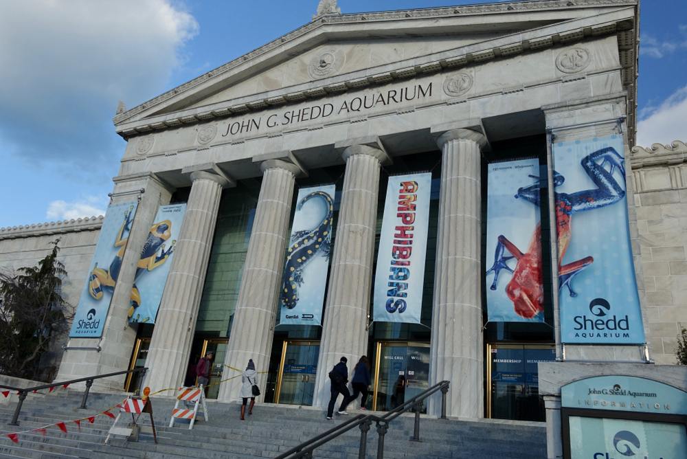 Chicago, IL / USA - November 13, 2015: Front entrance to Shedd Aquarium during Amphibians exhibit and exterior construction. Image by Marstar / Shutterstock.com. United States, 2015. Chicago, IL / USA - November 13, 2015: Front entrance to Shedd Aquarium during Amphibians exhibit and exterior construction. Image by Marstar / Shutterstock.com. United States, 2015.