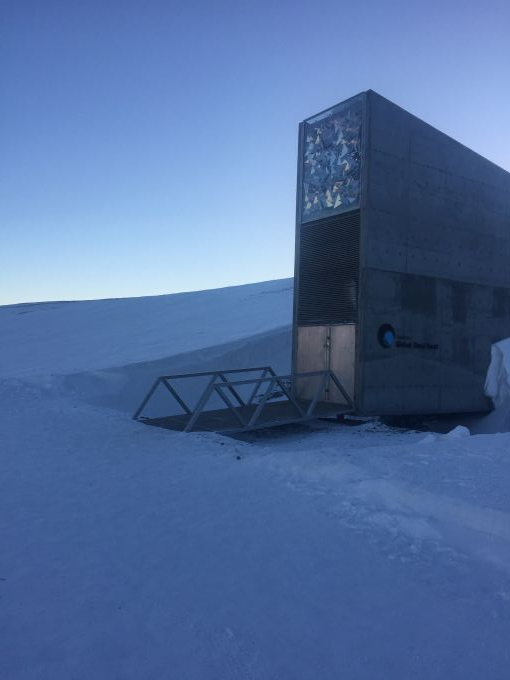 The Global Seed Vault located on Norway's Svalbard Archipelago holds over 900,000 samples of seeds from around the world as part of efforts to preserve global crop biodiversity. Image by Jennifer Duggan. Norway, 2017.