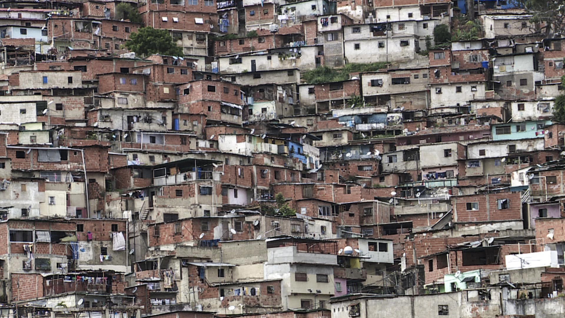 Nadja Drost and Bruno Federico for Venezuela on the Brink. Nadja Drost and Bruno Federico, Venezuela