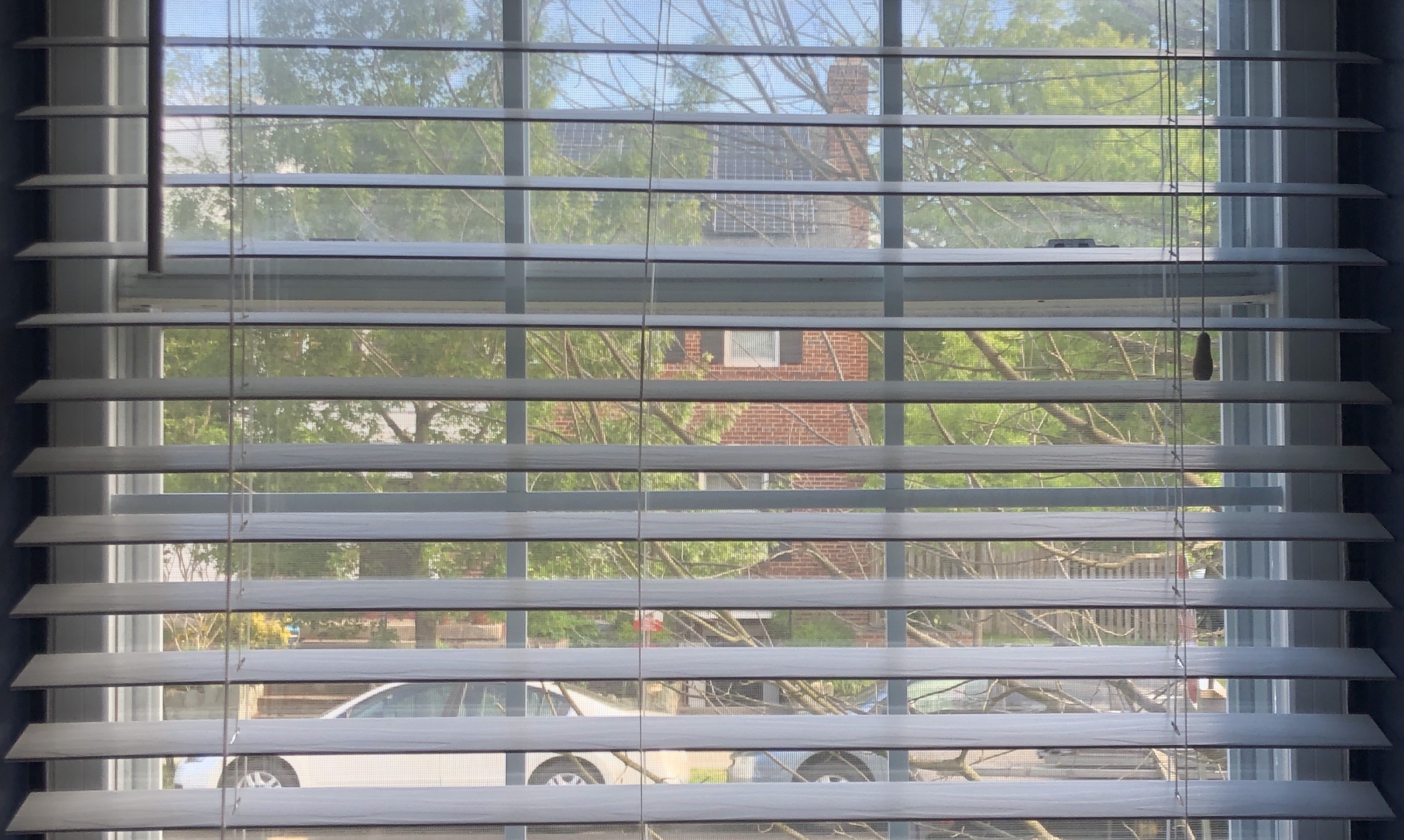Window to the street. Image by Manan Bhavnani. United States, 2020. Window to the street. Image by Manan Bhavnani. United States, 2020.