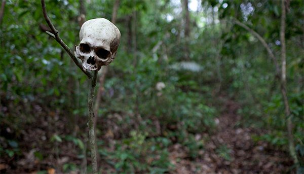 A human skull serves as a warning to travelers in the Gap. Image courtesy of Carlos Villalon. Panama, 2016. A human skull serves as a warning to travelers in the Gap. Image courtesy of Carlos Villalon. Panama, 2016.