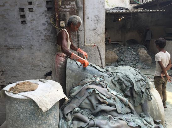 A worker sorts “wet blue” leather in a small tannery in Kanpur. Image by George Black. India, 2015. A worker sorts “wet blue” leather in a small tannery in Kanpur. Image by George Black. India, 2015.
