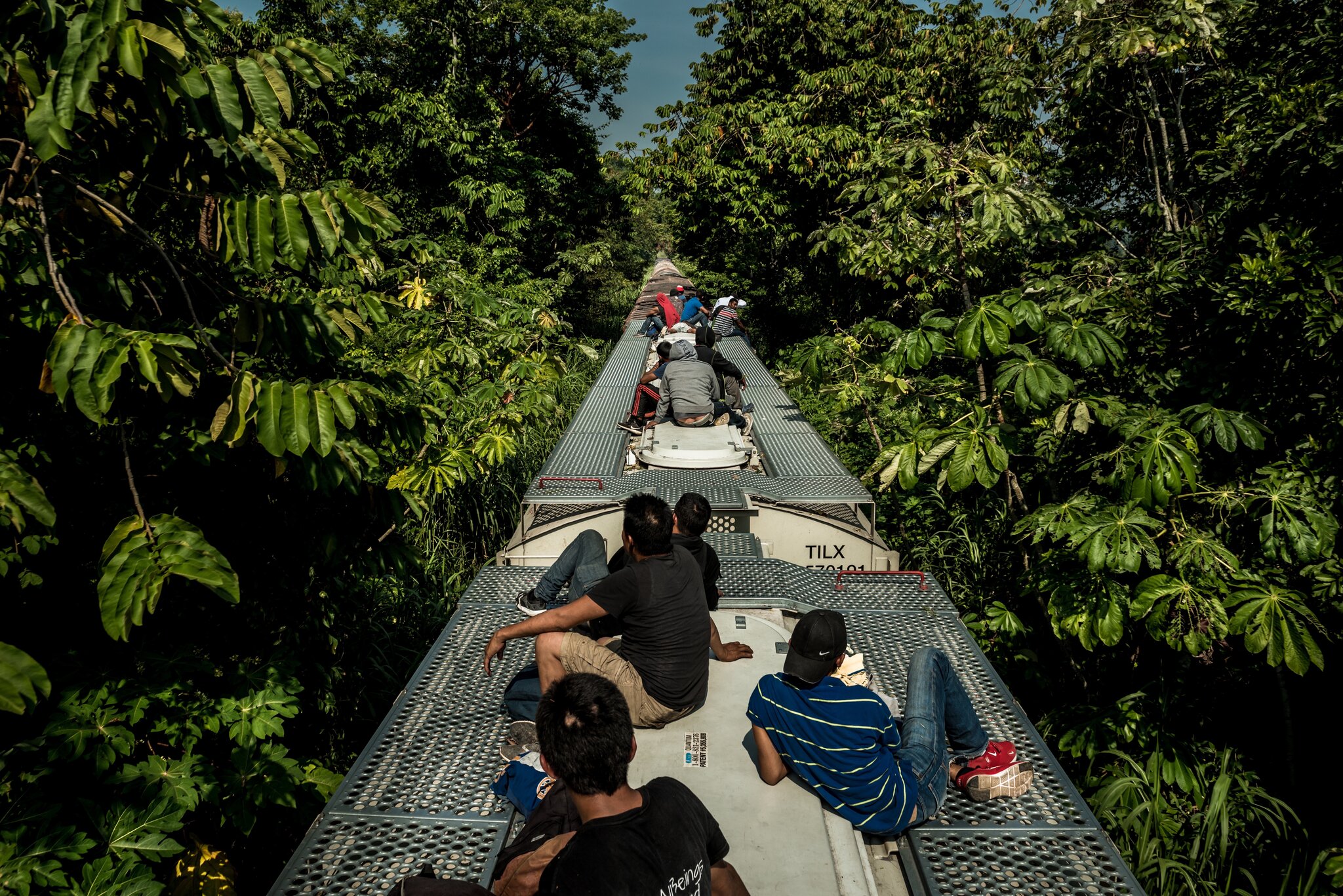 Migrants from Central America riding north on the Bestia freight rail line. Image by Meridith Kohut. Tabasco, Mexico, 2020. Migrants from Central America riding north on the Bestia freight rail line. Image by Meridith Kohut. Tabasco, Mexico, 2020.