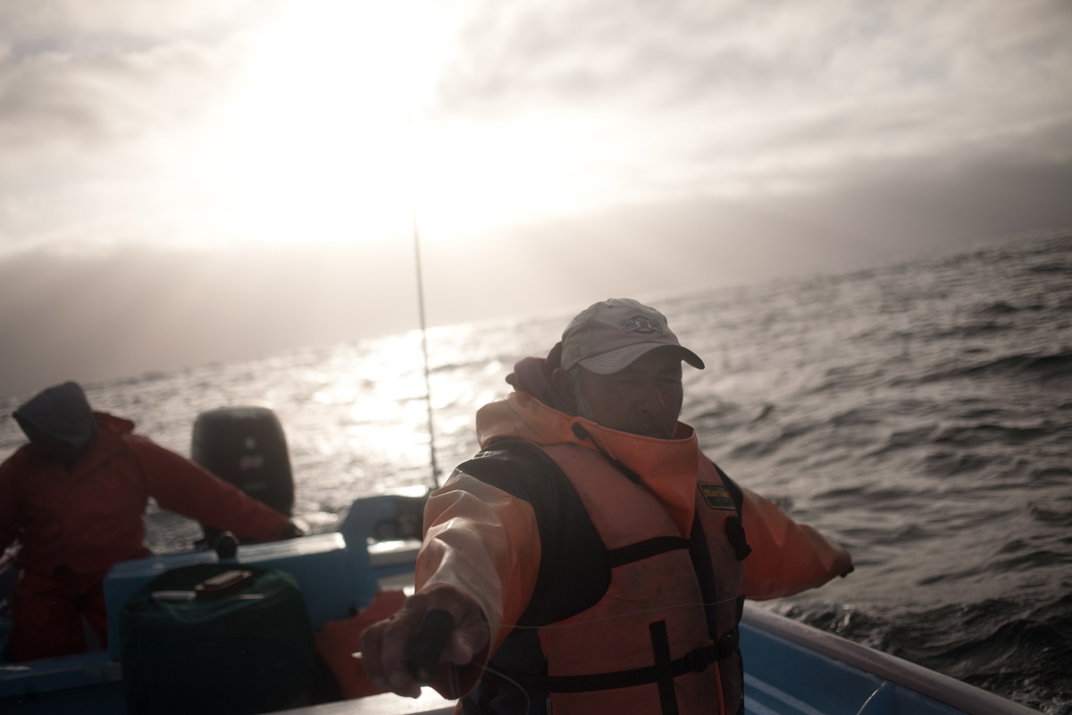 Manuel Lucero, 65, pulls line out to catch bait for the "simplera" hook system they use to catch sharks 20 miles offshore. Image by Dominic Bracco II. Mexico, 2012. Media file: sharks005.jpg