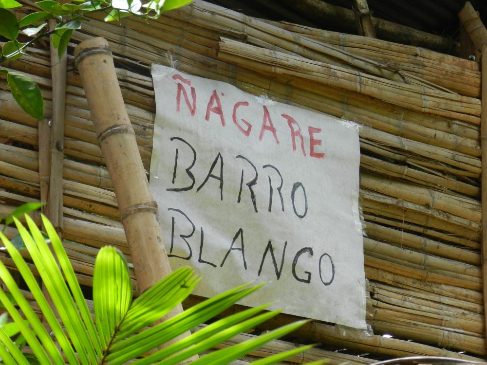 An anti-dam sign in Nuevo Palomar says, "No Barro Blanco." Image by Nick Swyter. Panama, 2013. Media file: dscn9283.jpg
