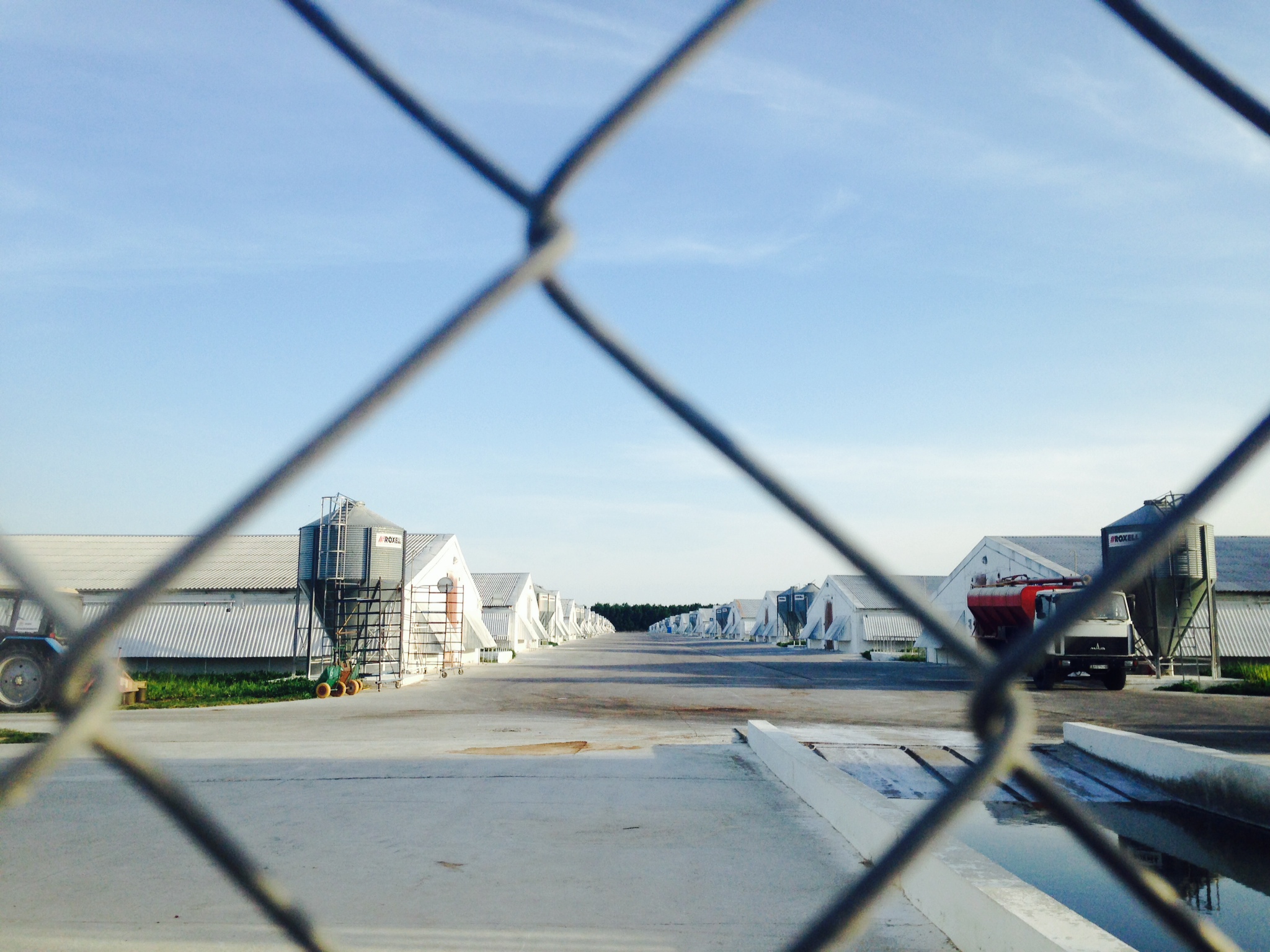 Part of the Vinnytsia chicken farm, a controversial project to build Europe's largest industrial poultry farm in central Ukraine. Image by Claire Provost. Ukraine, 2015. Media file: photo_2-8.jpg
