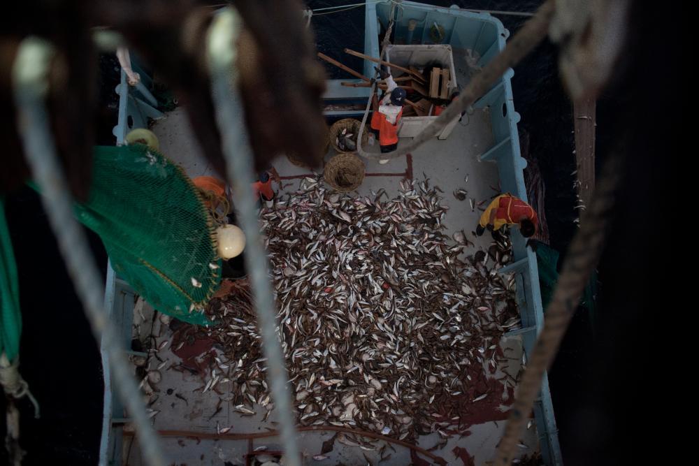 Trawler deck, Sea of Cortez. Image by Dominic Bracco II. Mexico, 2012. Media file: scraps006.jpg