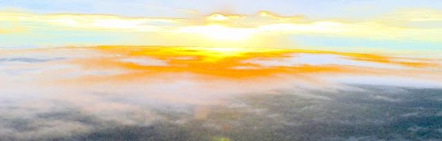 The view from the Amazonian Tall Tower Observatory (ATTO), the tallest tower south of the Rio Grande, 1,000 feet in the air, 100 miles NE of Manaus. Image by Dan Grossman. Brazil, 2016. The view from the Amazonian Tall Tower Observatory (ATTO), the tallest tower south of the Rio Grande, 1,000 feet in the air, 100 miles NE of Manaus. Image by Dan Grossman. Brazil, 2016.