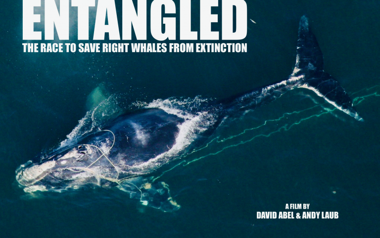 Image courtesy of David Abel and Andy Laub. Image courtesy of David Abel and Andy Laub.