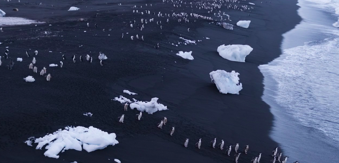 Image by George Steinmetz for The New York Times. Antartica, 2018. Image by George Steinmetz for The New York Times. Antartica, 2018.