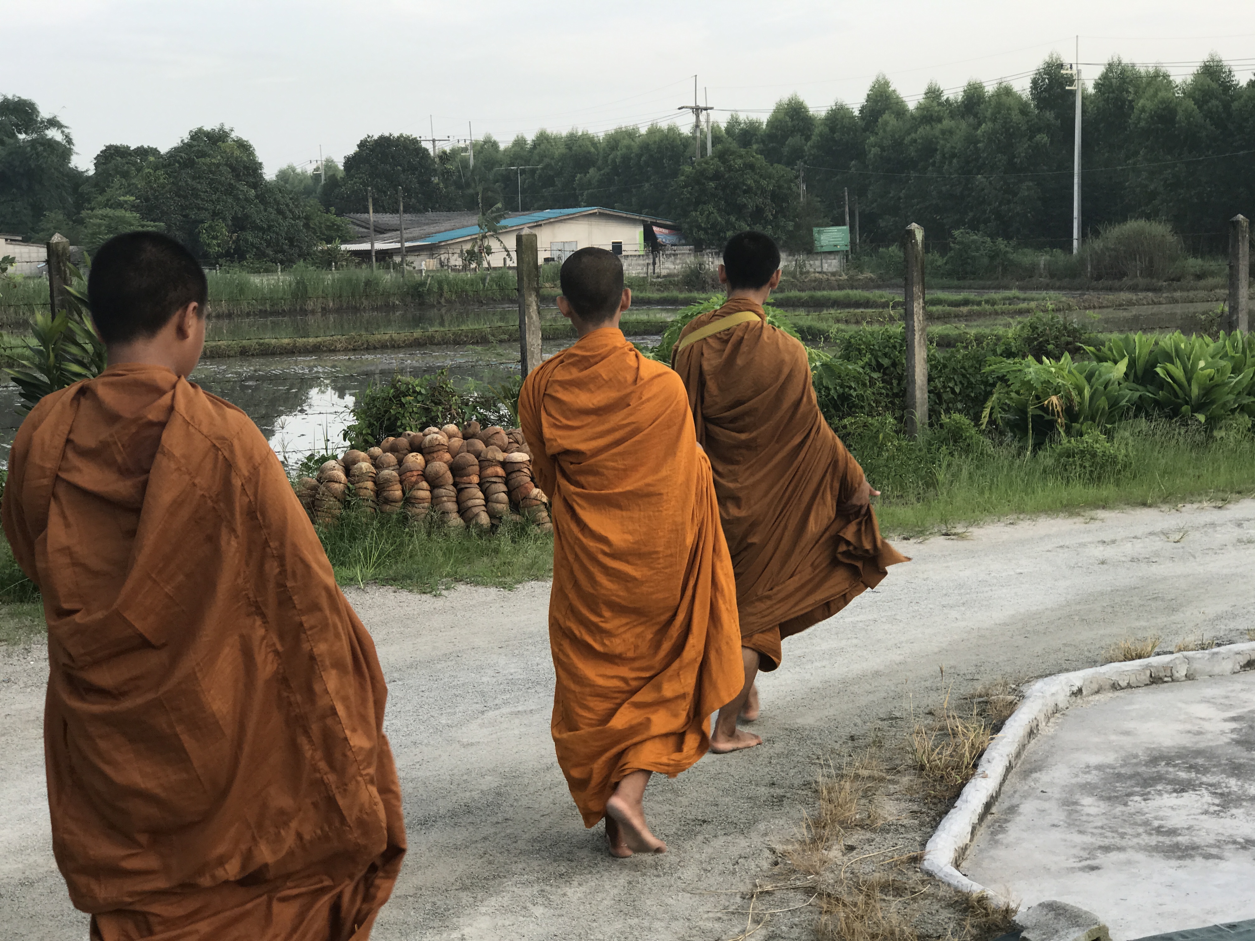 Three monks. Image by Kiley Price. Thailand, 2018. Three monks. Image by Kiley Price. Thailand, 2018.