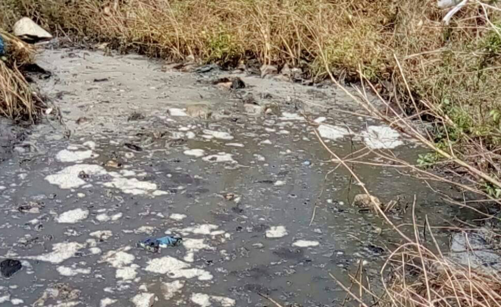 Waste dumped in the water in Kitty Tambana. Image by Besenty Gomez. Gambia, 2018. Waste dumped in the water in Kitty Tambana. Image by Besenty Gomez. Gambia, 2018.