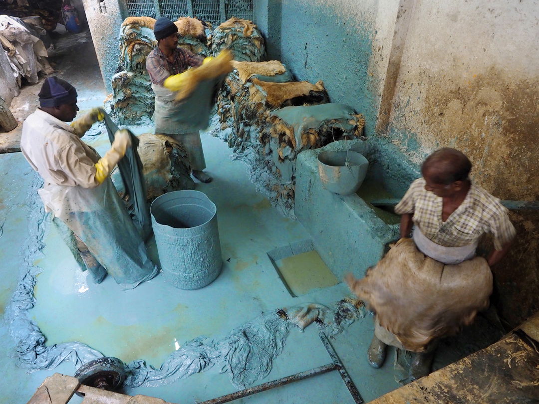 India Toxic Tanneries Pulitzer Center
