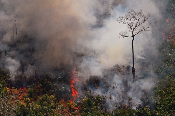 Aerial picture showing a fire raging in the Amazon rainforest about 65 km from Porto Velho, in the state of Rondonia, in northern Brazil, on August 23, 2019. Image by Carl De Souza/AFP/Getty Images. Brazil, 2019. Aerial picture showing a fire raging in the Amazon rainforest about 65 km from Porto Velho, in the state of Rondonia, in northern Brazil, on August 23, 2019. Image by Carl De Souza/AFP/Getty Images. Brazil, 2019.
