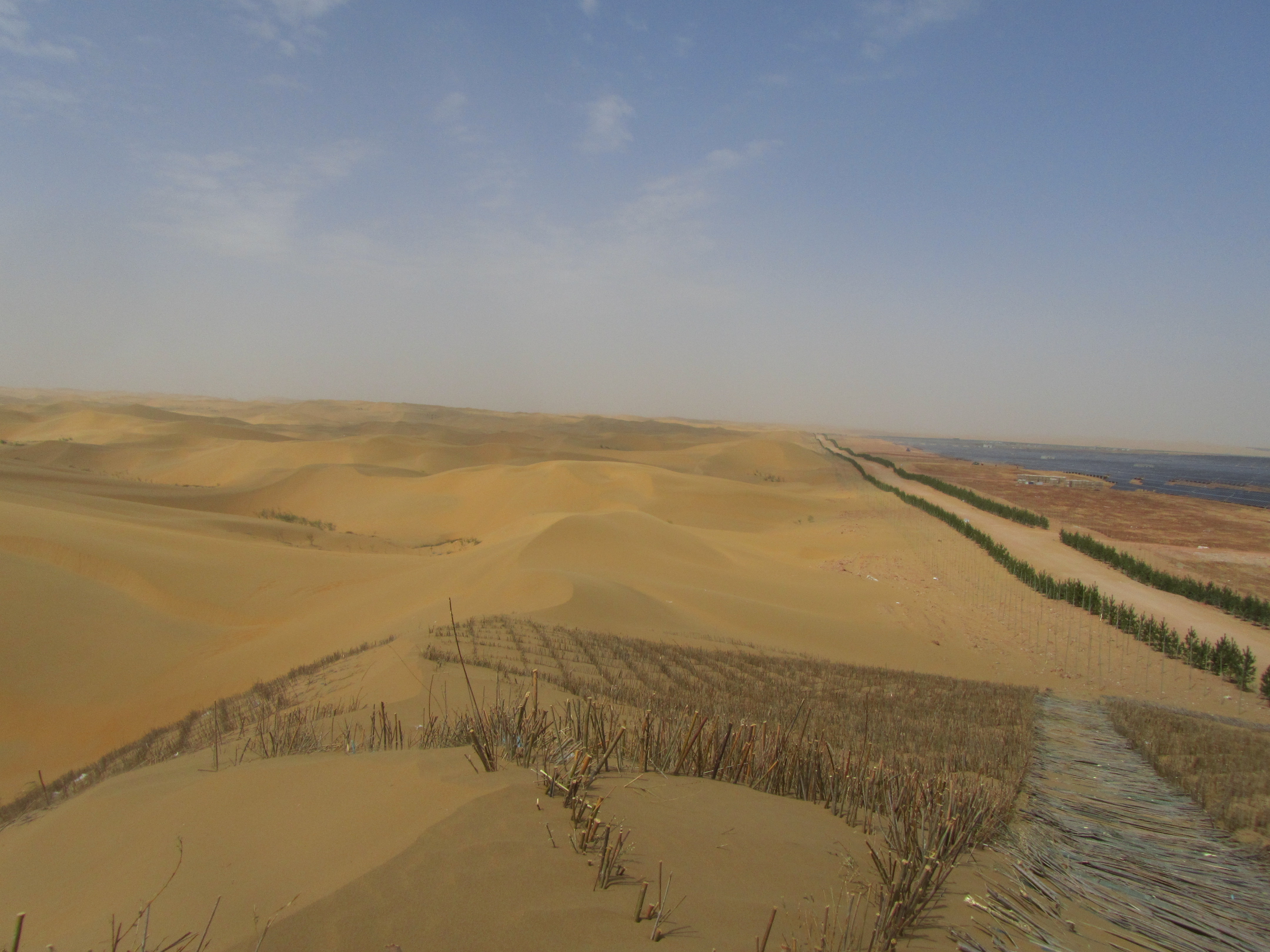 Trees versus sand. Image by Vince Beiser. China, 2016. Trees versus sand. Image by Vince Beiser. China, 2016.