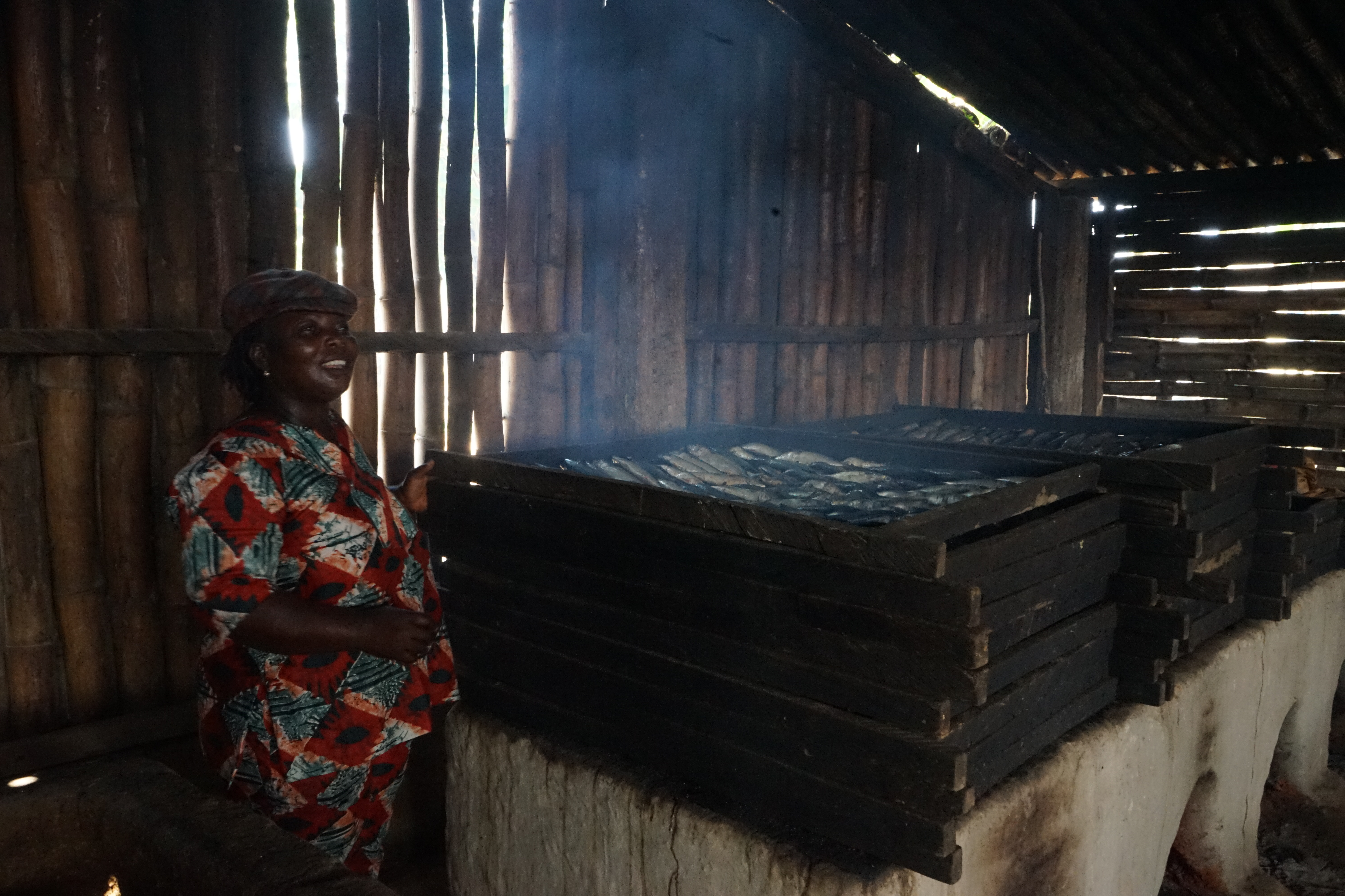 A large portion of the fish caught in Ghana' waters is smoked in wooden smokehouses over clay ovens. It is then sold in the markets of Kumasi and Accra. Image by John Soper. Ghana, 2015.
