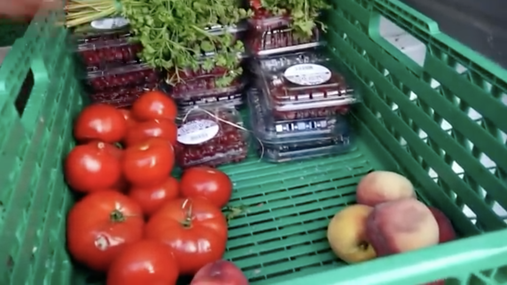 Bin of fresh produce being donated instead of thrown away at a French supermarket. Image by PBS NewsHour. France, 2019. Bin of fresh produce being donated instead of thrown away at a French supermarket. Image by PBS NewsHour. France, 2019.