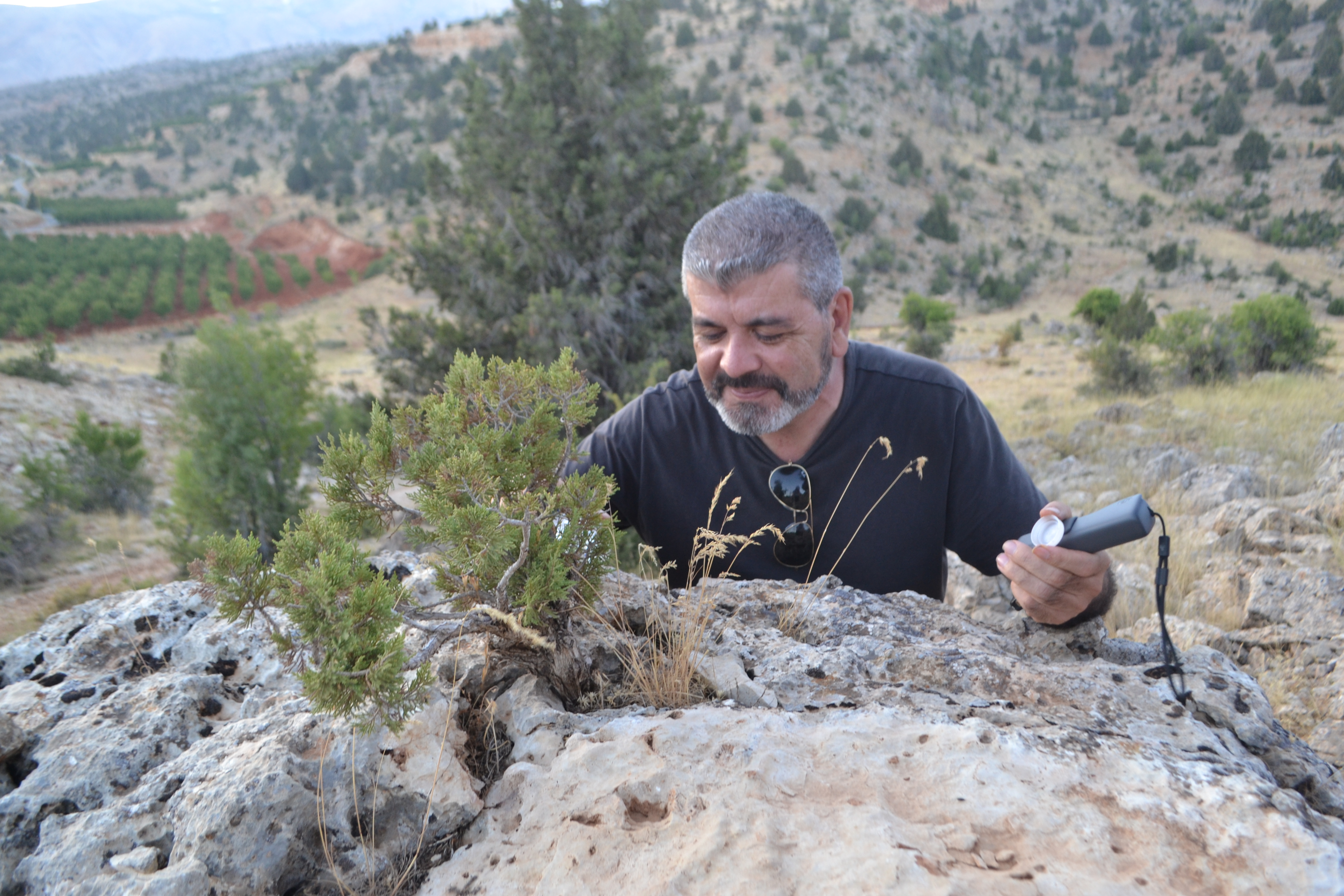 Antoine Geagea greets and waters a juniper tree growing on top of a boulder. Image by Catherine Cartier. Lebanon, 2019. Antoine Geagea greets and waters a juniper tree growing on top of a boulder. Image by Catherine Cartier. Lebanon, 2019.